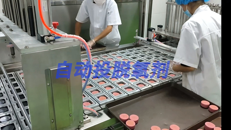 月餅封口機(jī)(帶自動投脫氧劑)